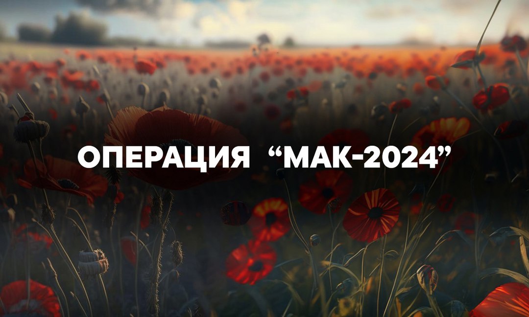 5-ый этап операции «МАК-2024».