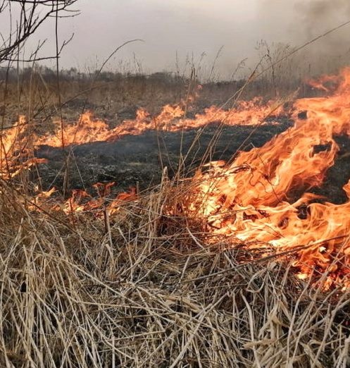 Специалисты Киреевского межрайонного отдела филиала ФГБУ «Россельхозцентр» по Тульской области рекомендует сельхозтоваропроизводителям: «Будьте бдительны при обращении с огнем!».