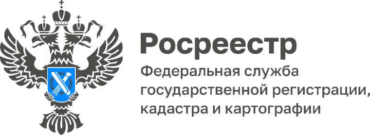 В Роскадастре рассказали, как жителям Тульской области получить невостребованные документы. В Роскадастре рассказали, как жителям Тульской области получить невостребованные документы.